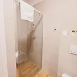 Ms Pro Kolo Brzegu * 科沃布热格