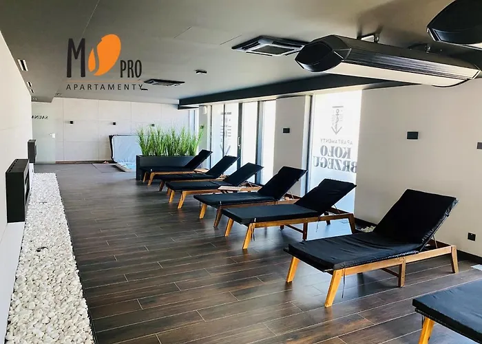 Ms Pro Kolo Brzegu *